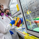 Chemists inspect a lab sample of einsteinium-254.
